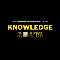 Knowledge Shots collection image