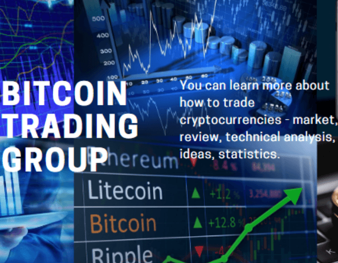 Bitcoin Trading Group V2 - Collection | OpenSea