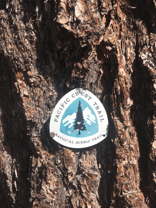 PCT #001