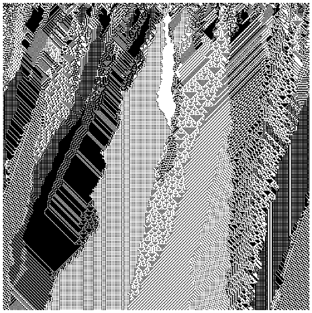 cellular automata 19