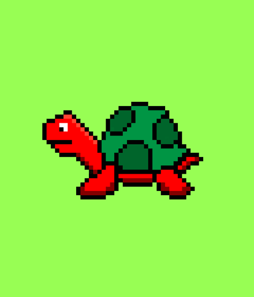 Tiny Turtle #11