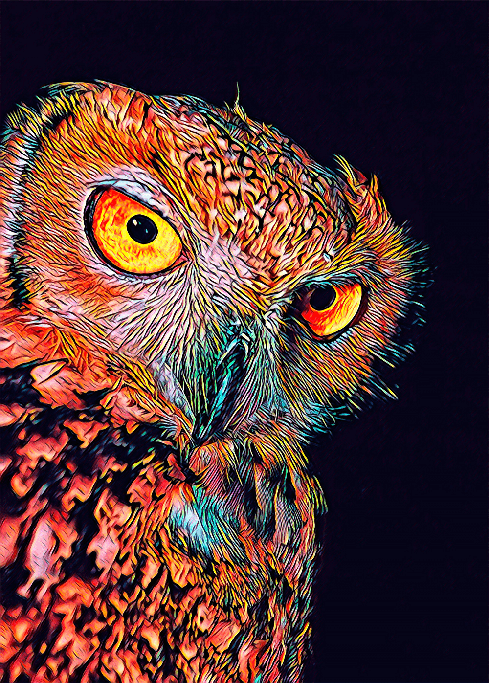 1000px x 1397px - Owl - BoxGallery | OpenSea