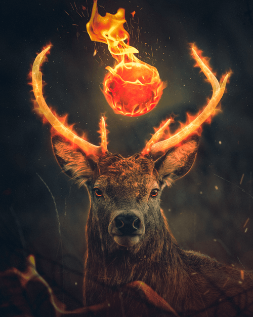 Burning stag