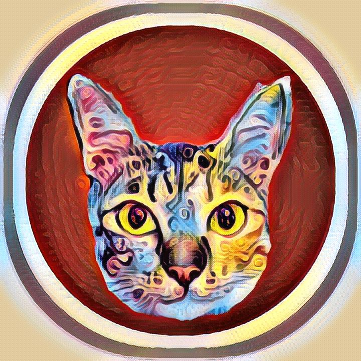 Robin_The_Cat - Profile | OpenSea