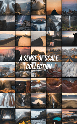 A Sense of Scale collection image