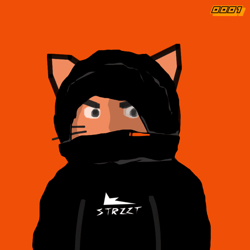 StrzztCatz