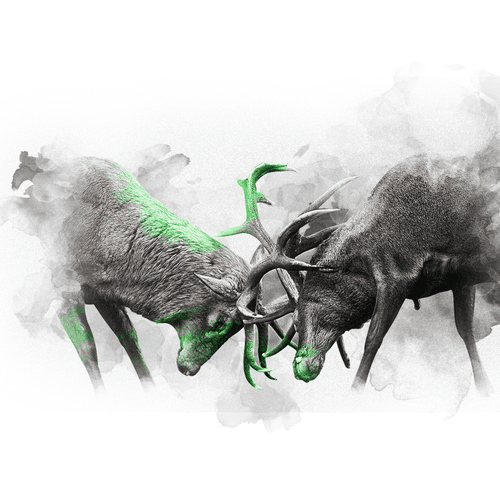 GREEN SERIES - DEER