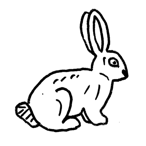 Rabbit 