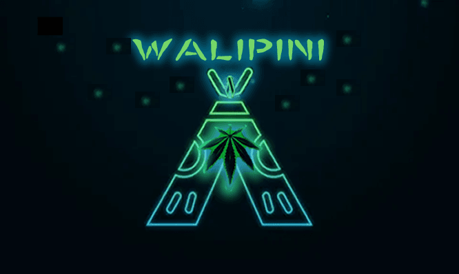 Walipini banner