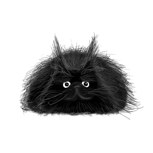 BlackCat Collection