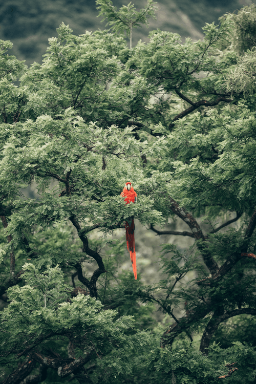Lost Serenity 06