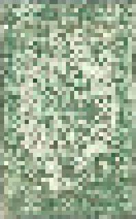 Rug #5
