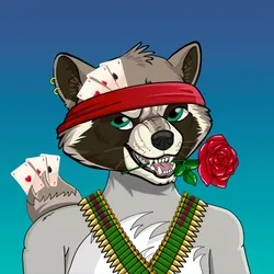 Raccoon Club collection image