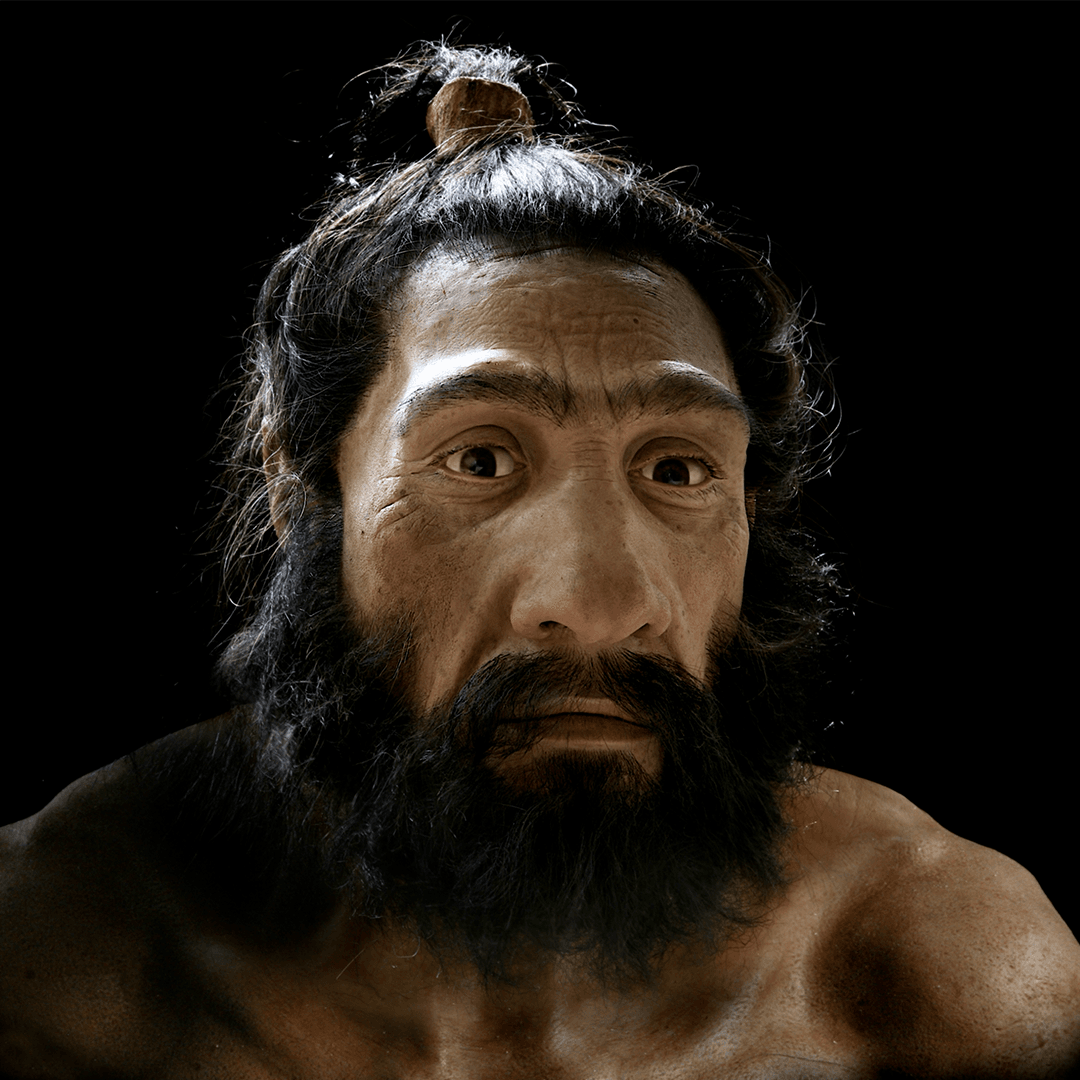 Homo neanderthalensis: Hominin #12