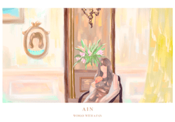 The AIN collection image