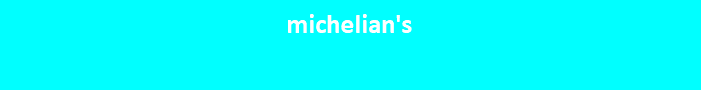 michelian banner
