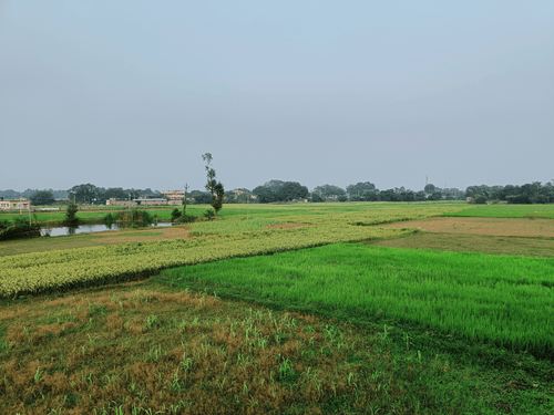 Natural Beauty of an Indian Village #4