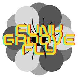 Funk Groove Fly collection image