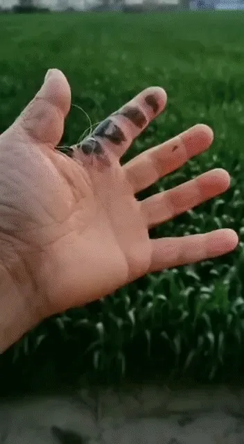 Hand NFT # 7