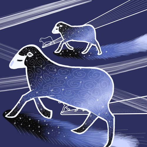 Night Sheep