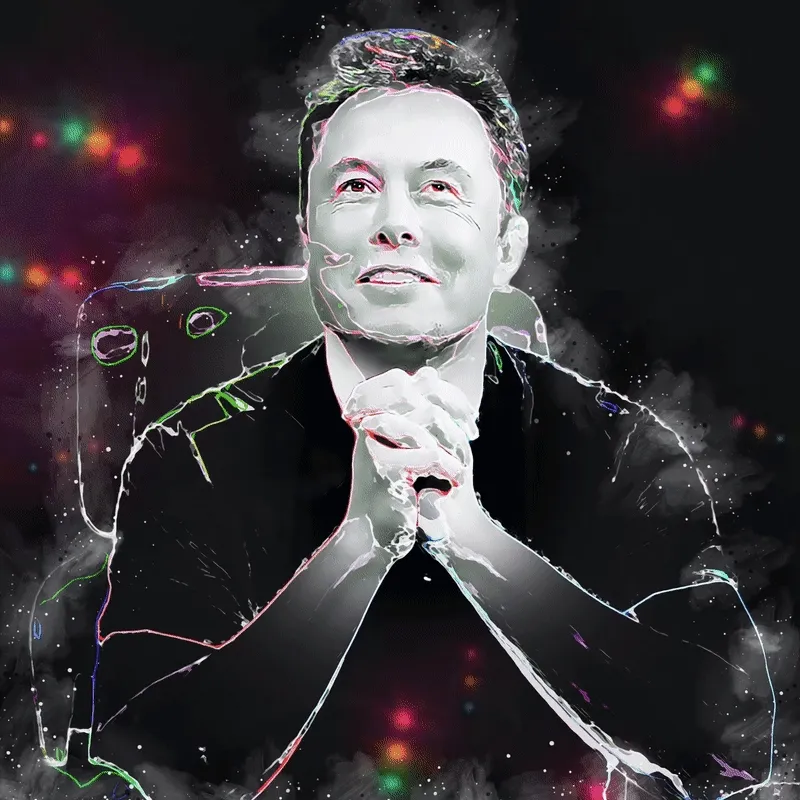 Spotlight #7 Elon