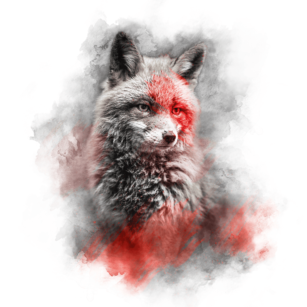 RED SERIES - FOX
