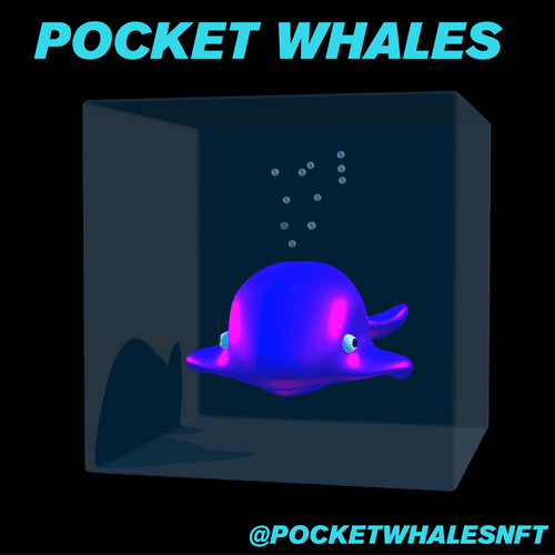 Pocket Whales