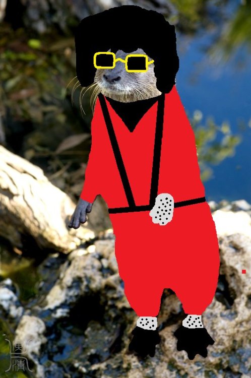 King of Pop Otter