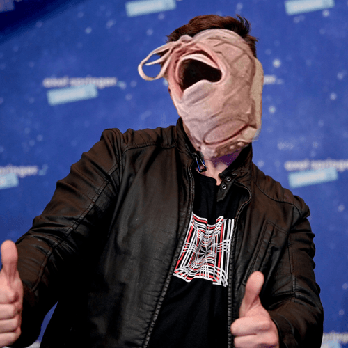 ElonShoe