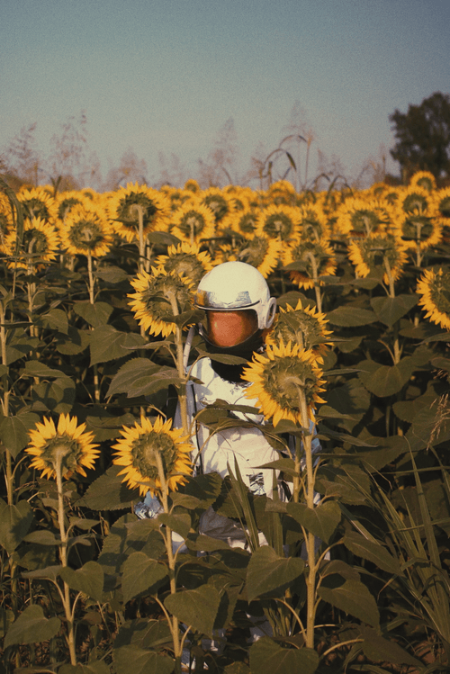 Multiverse of Shades