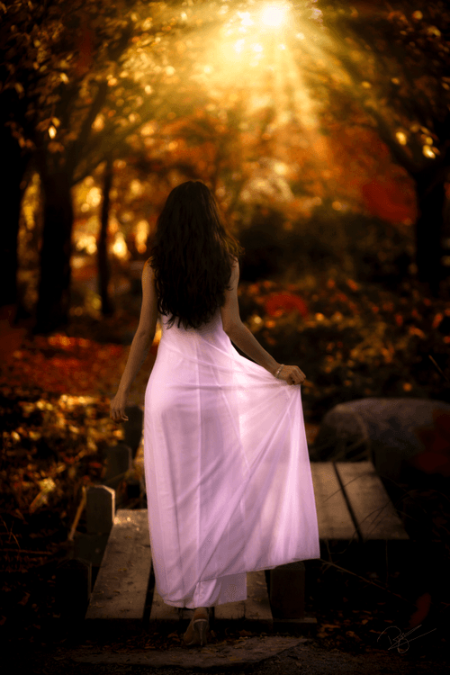 The Dreamer
