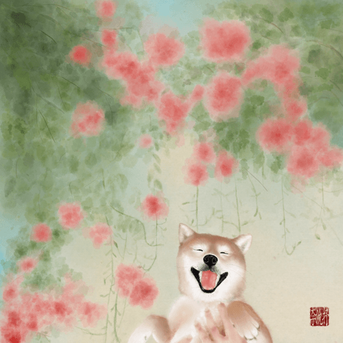 꽃같네 시바