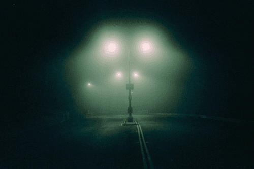 Foggy Frisco Nights