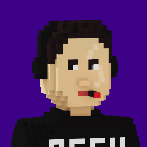 Elon - FamousPunkVoxel#9