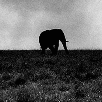 Eric Melzer Photography Editions