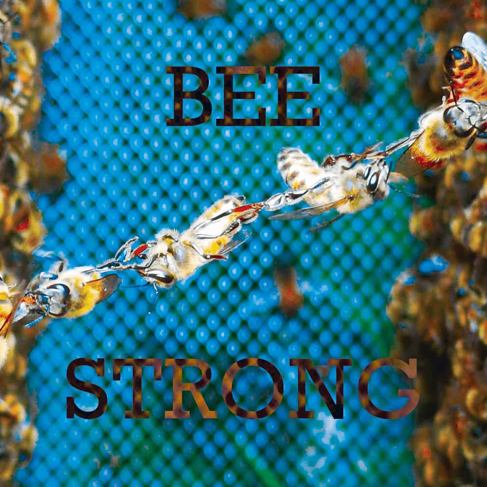 Bee Strong - Collection | OpenSea