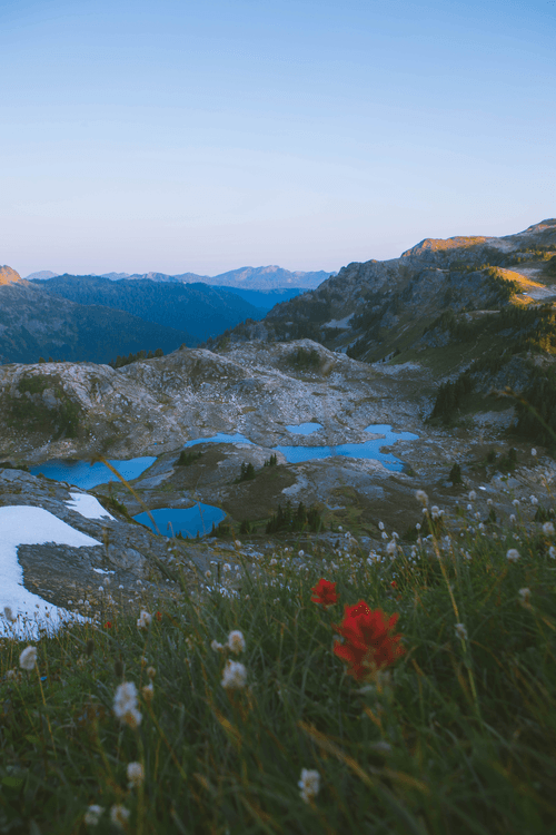 The Summer Color Pallete