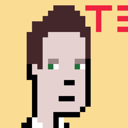 #24 Punk VIP - Elon Musk