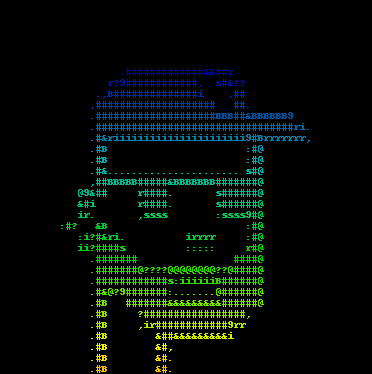 ASCII Punk #496