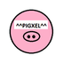 PIGXEL