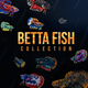 Betta Fish Collection