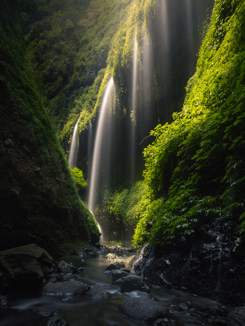 The Shape of Light