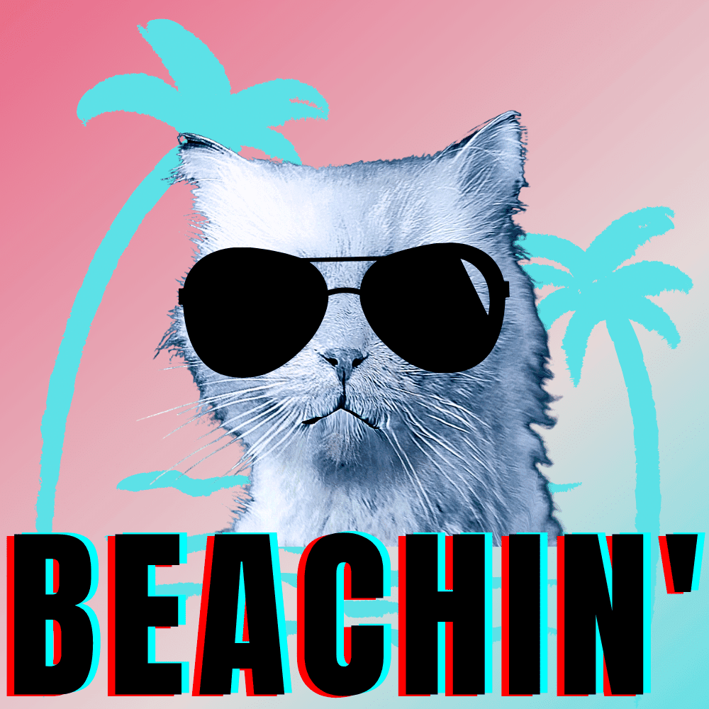 #bluecatmax #1 beachin'