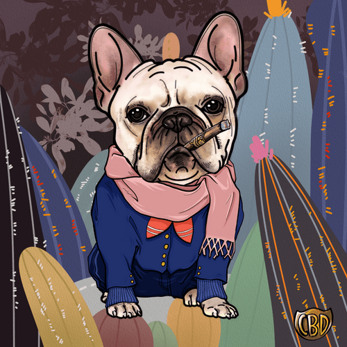 FrenchbulldogJiJi