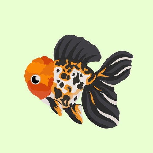Goldfish No.2