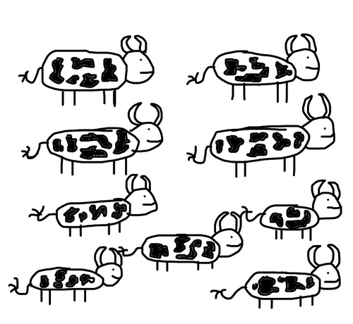 Its nine cows