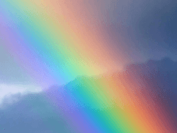 " Rainbow " collection image