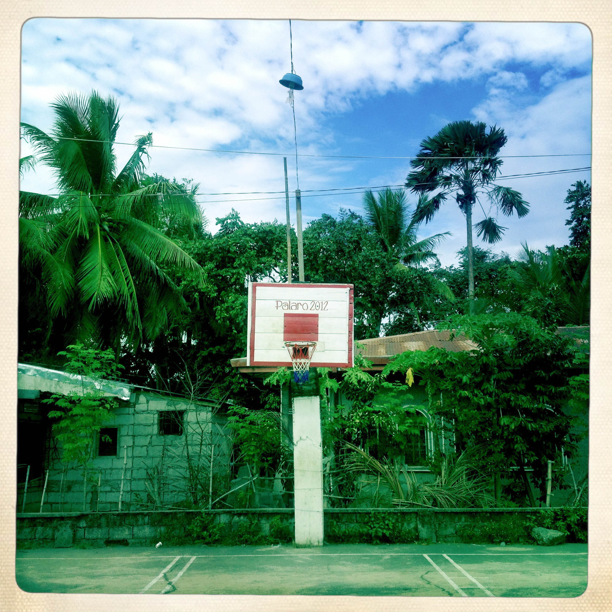 Basketball Landscape #21