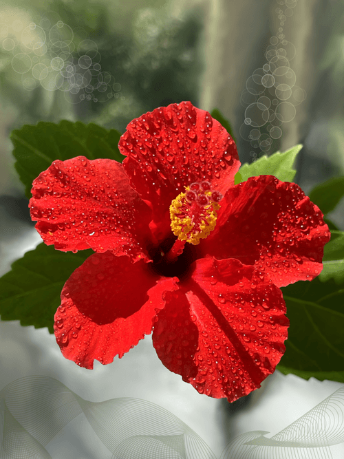 Floral fantasy #6