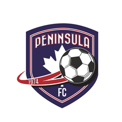 Peninsula Soccer Turf collection image
